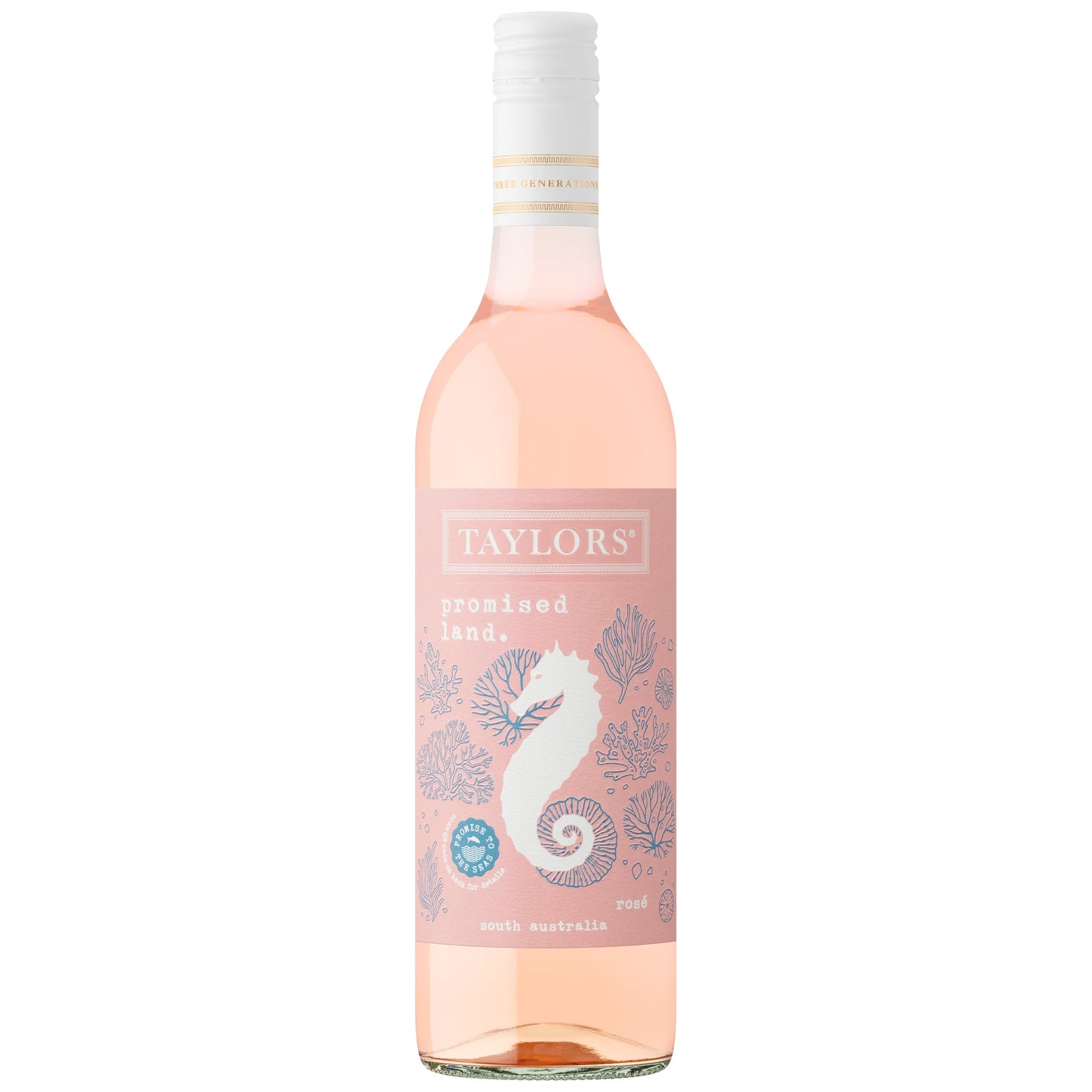 Taylors Promised Land Rose